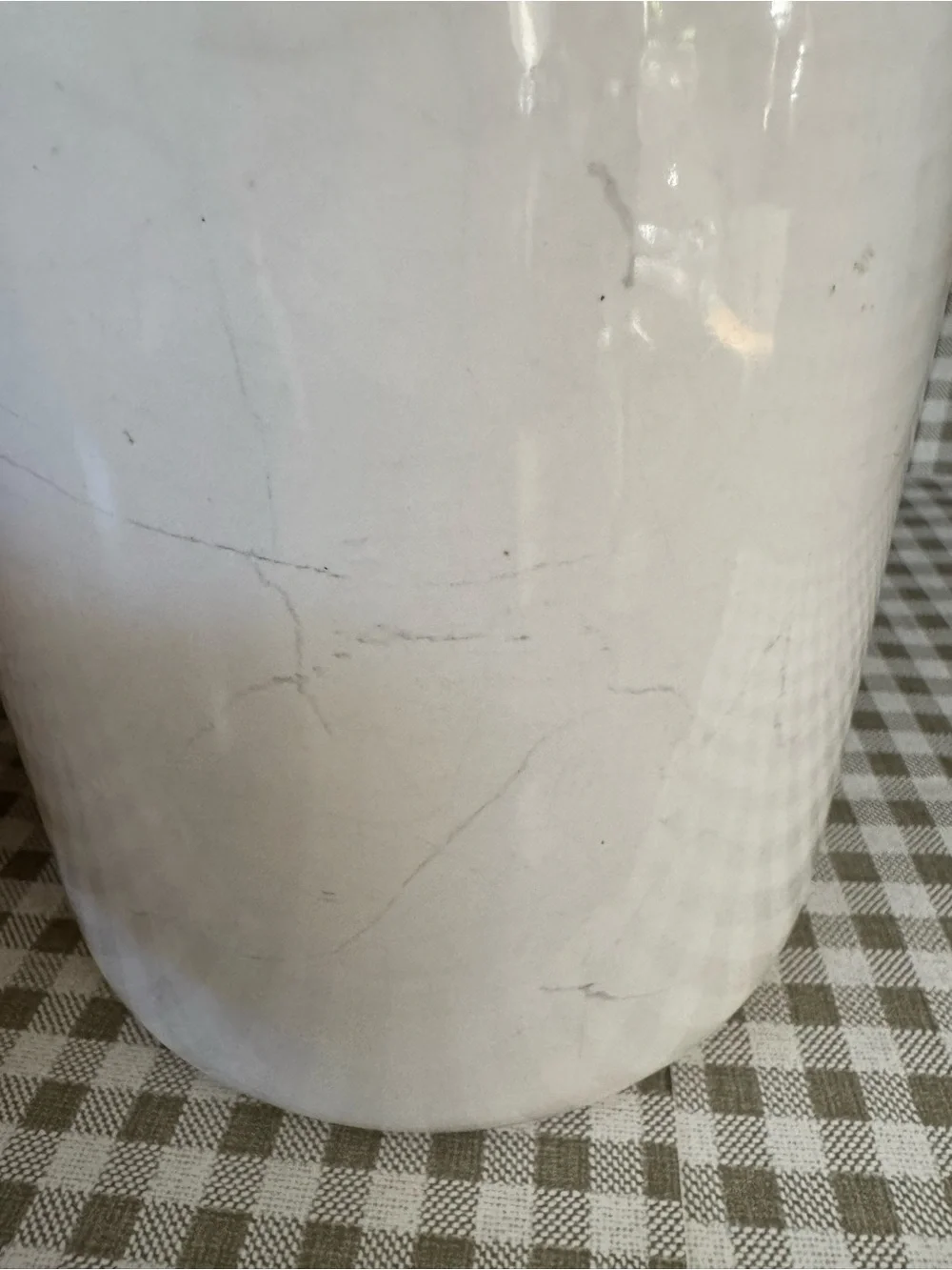 White Ceramic Goose Canister with Blue Gingham Scarf 9’inch cookie jar, storage